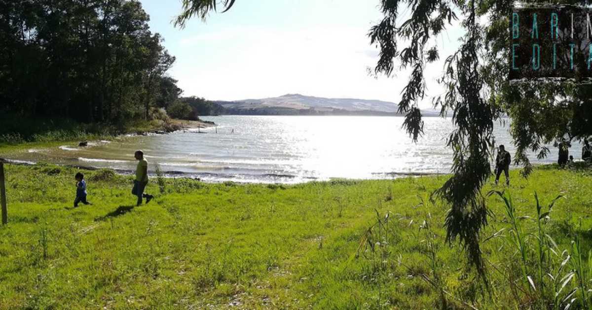 Non solo pasquette: tra balene, laghi e natura alla scoperta della Diga di San Giuliano